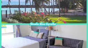 Studio Bleu Caraibe