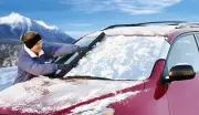 Custom Fit Snow Shield for 1983-1988 Mitsubishi Cordia (for: Mitsubishi)