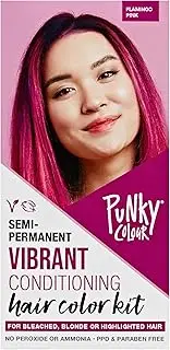 Punky Colour Box Kit Flamingo Pink - For Bleached, Blonde or Highlighted Hair