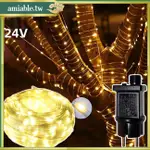 AMI 24V 仙女燈,8 種照明模式和 4 種亮度級別,定時器可調光,32 英尺 100LED 多色,室內室外