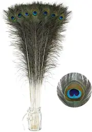 Long Peacock Feathers Bulk- 25Pcs 32-35 Inches Feathers for Vase Holiday Decor