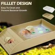 Water Pool For Turtle With Climbing Ramp, Turtle Accessories For Reptile Tanks /