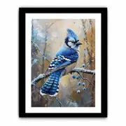 Blue Jay Bird Framed print Art Poster