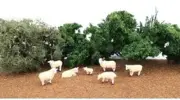 Bachmann 33122 HO Scale Sheep 7Pcs