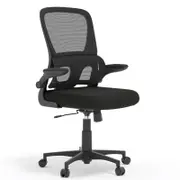 Advwin Ergonomic Mesh Office Chair with Flip-up Armrests Black