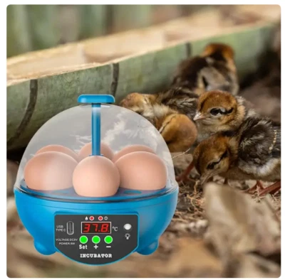 USB 6 Eggs Incubator Manual Egg Turner Chick Incubator with Light Hatching Eggs