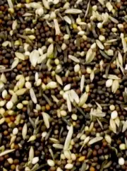 Avigrain Tonic Seed Mix 3kg Bird Seed Mix Feed Food Birds Pets Avian