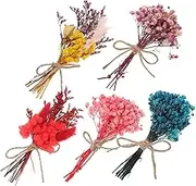 LIFKICH Natural Dried Flowers Mini Bouquets Bundles Rustic Floral Arrangements for Home Decor Weddings Parties and Dried Flower Ornament for Every Occasion