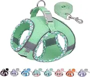 AIITLE Teacup Puppy Harness with Leash - Adjustable Soft Vest with Magic Velcro & Reflective Safety Strips, Easy-Put-On for Poodles, Pomeranians - Gym, Hiking, Travel (Sage, S)