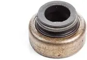 Briggs & Stratton 697338 Valve Seal Replacement Part