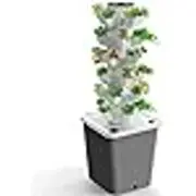 TOWER GARDEN 6 TIER 30 PLANT SITES