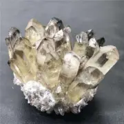 410g Natural Smoky Quartz Cluster Quartz Crystal Point Specimen Reiki Decor
