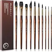 Watercolour Brushes Professional - 10Pcs Synthetic Squirrel Hair Watercolor Paint Brush Set for Artists - Flat, Round Pointed, Dagger, Cat's Tongue Oval Wash for Watercolour, Inks Painting