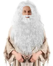 White Wizard Mens Long Wig & Beard