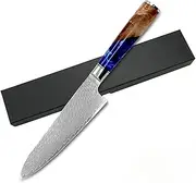 Professional Damascus Chef Knife Full Tang Cooking Cutlery Damascus Knives High Carbon Stainless Steel 67-Layer Sharp Japanese Santoku Knife with sheath (gyuto)