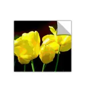 ArtWall Herb Dickinson 'Yellow Tulips 2' Removable Graphic Wall Art, 36" by 36"