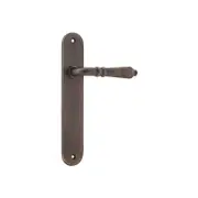 Iver Sarlat Lever Door Handle on Oval Backplate Signature Brass