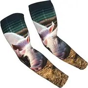 [FSCEV] Pigs In Farm Sun Protection Arm Sleeves Outdoor Essentials Cooling Compression Golf Hiking Cycling