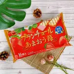 【疲老闆】日本 BOURBON 北日本 濃厚草莓可可餅乾 124G 袋