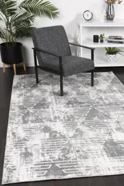 Paisley Transitional Geometric Silver Rug
