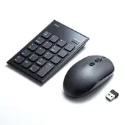Sanwa Supply Numeric Keypad/Mouse Set Wireless Quiet USB A Connection Black NT-W