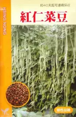 尋花趣 紅仁菜豆 矮性品種【蔬果種子】興農牌 每包約5公克