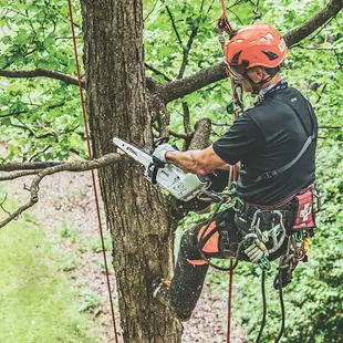 【台北益昌】德國 STIHL MSA161T 36V 12吋 鋰電 鏈鋸機 單手鏈鋸 鏈鋸機 無刷馬達