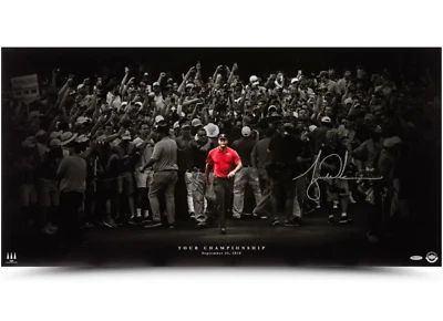 Upper DECK Tiger Woods " Moving Forward " Autographed Golf PGA Art Print COA
