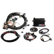 Holley HP EFI ECU With Harness - LS1, LS6, HO550-602