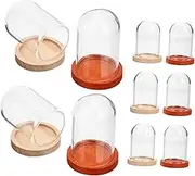 GOOHOCHY 10pcs Small Glass Cloche Dome with Base for Displaying Flowers Candles and Succulents Elegant Transparent Glass Showcase for Home Decor and Centerpieces