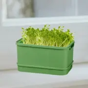 Seed Sprouts Tray Nursery Tray Portable Germination Sets for Home Mung Bean