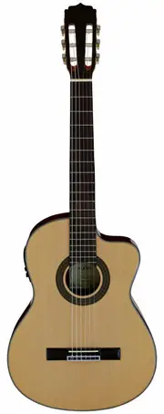 Aria AK30CE Cutaway Classical/Nylon String Guitar with Spruce Top and AEQ-4 Preamp