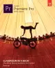 Adobe Premiere Pro Classroom in a Book (2020 Release)-cover