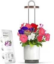 Click & Grow Mini Smart Planter Kit with Petunia Plant Pods, Hydrovase Indoor Garden, Self-Watering Pot with Plant Lamp (White)