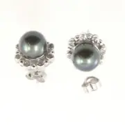 AAA Black Cultured Pearl 14kt White Solid Gold Sparkling Diamond Stud Earrings