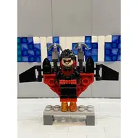 在飛比找蝦皮購物優惠-【TCT】樂高DC英雄 超級英雄 漫威 LEGO 76011