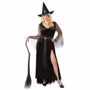 Rich Witch Sorcerer Wizard Storybook Fairytale Book Week Womens Costume Plus