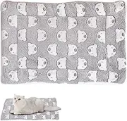 Dog Bed Mat, Bear Pattern Dog Crate Pad 12x16 Inch Soft & Warm Cat Bed Mat for Home