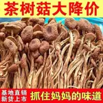 【小桃喜優選】正宗農家不開傘茶樹菇當季新貨脆嫩鮮香茶樹菇乾貨