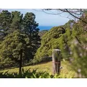 Mount Murray Hideaway