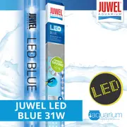 JUWEL LED Blue 31W 1200mm (86892)
