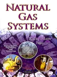 在飛比找三民網路書店優惠-Natural Gas Systems