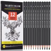 Artistic Sketch Pro Pencils - 12 Pack Graphite Set for Drawing, Sketching, and S