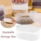 Plastic Refrigerator Storage Box with Lid Condiment Boxes Fresh-Keeping Box