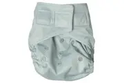 Snazzi Pants: All in One Reusable Nappy - Sage