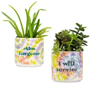 [About Face Design] Tie Dye Planter (Small) - I Will Survive