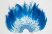 ONE FEATHER PINWHEEL - TURQUOISE Hackle Feathers; Headbands/Beads/Hats/Costume