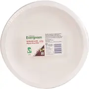 Armada Evergreen Sugarcane Pulp Plates 20 pack
