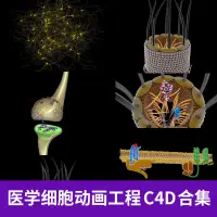 在飛比找蝦皮購物優惠-C4D醫學神經元素細胞表面蛋白atp合成酶動畫工程3D三維素