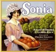Anaheim Sonia Farm Orange Citrus Crate Label Art Print